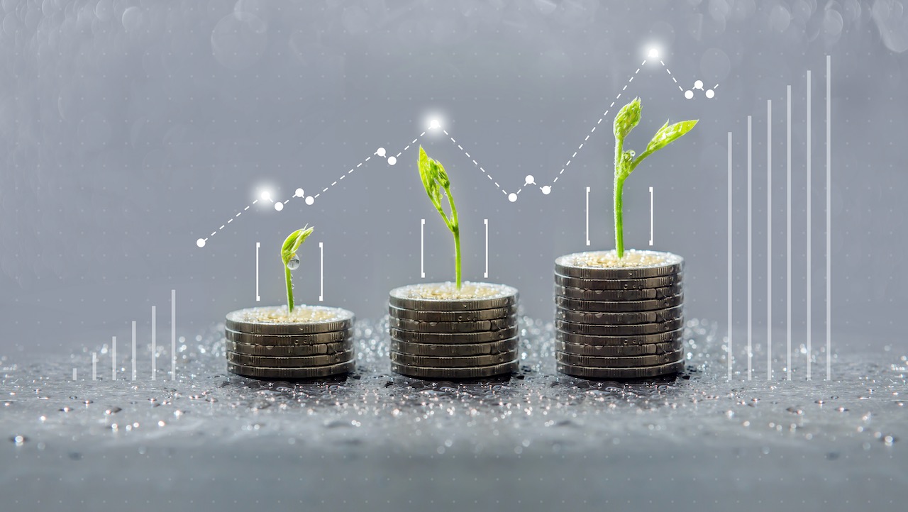 trees-growing-on-coins--business-with-csr-practice--save-and-growing-finance